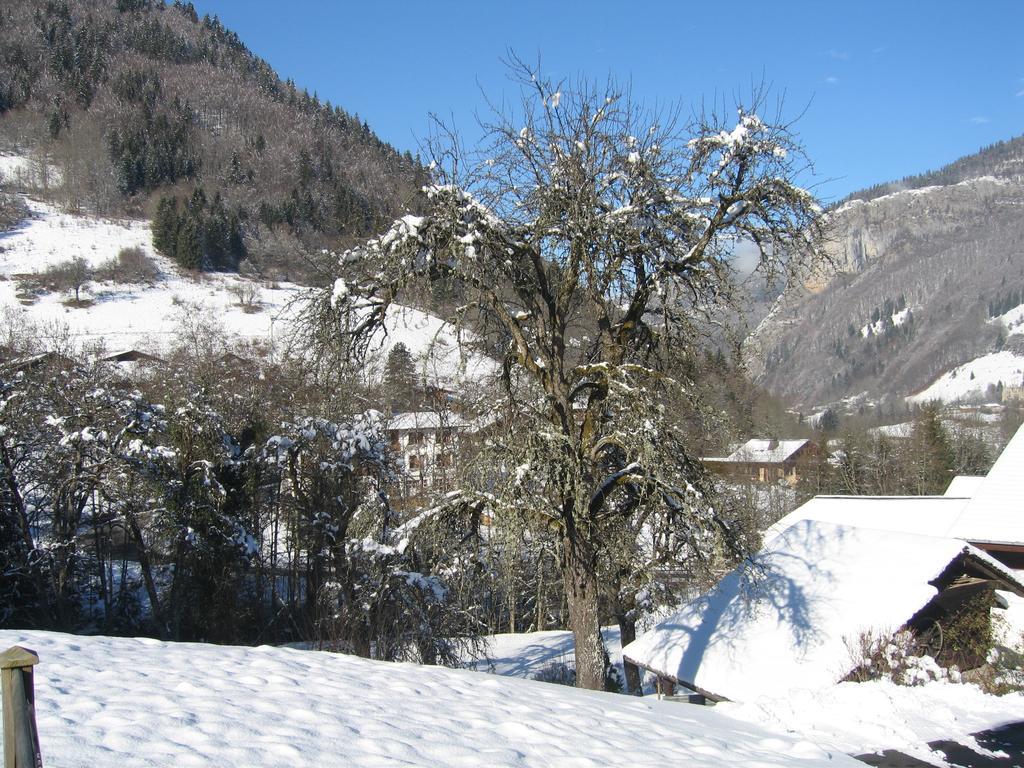 Saint-Jean-dʼAulps Appartement Borne חדר תמונה